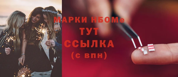 индика Аркадак
