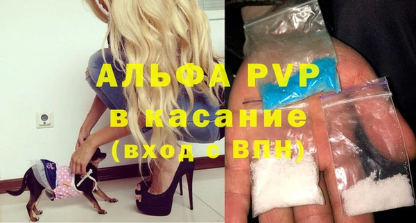 индика Аркадак