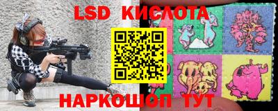 дурь Бердск