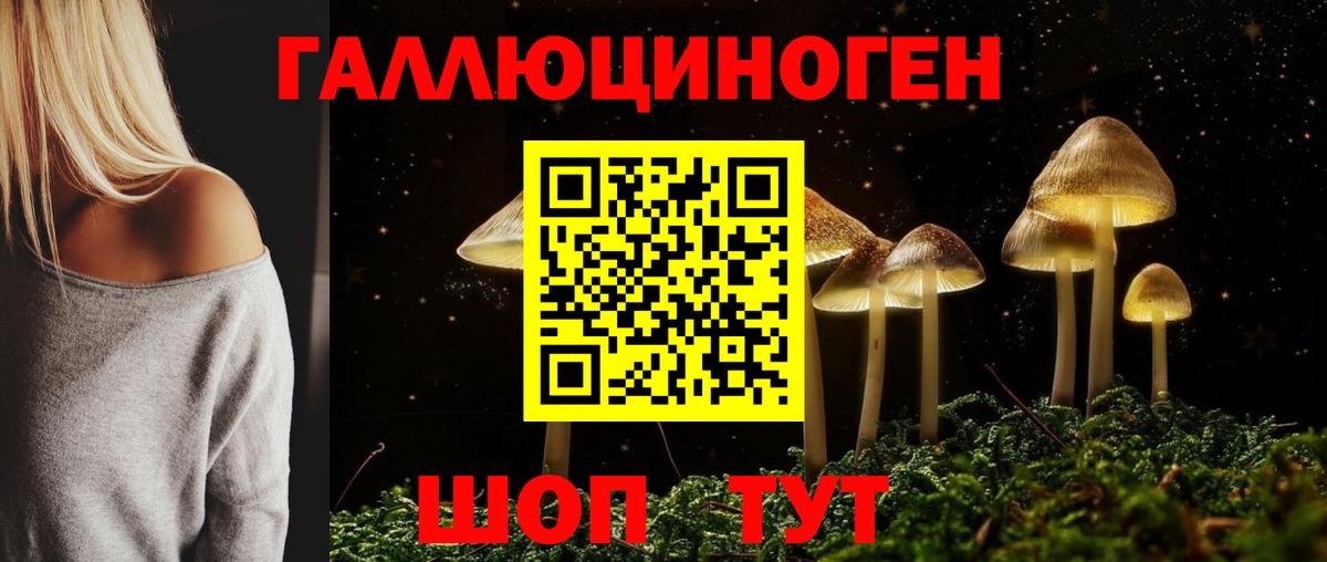 Псилоцибиновые грибы GOLDEN TEACHER Заречный